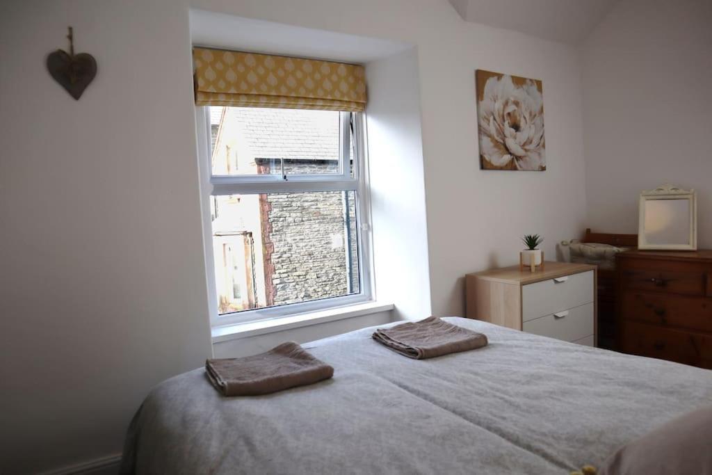 Dol Bach - Your Homely Welsh Cottage In The Heart Of Snowdonia Blaenau Ffestiniog Exteriér fotografie