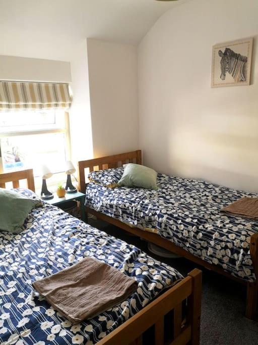 Dol Bach - Your Homely Welsh Cottage In The Heart Of Snowdonia Blaenau Ffestiniog Exteriér fotografie