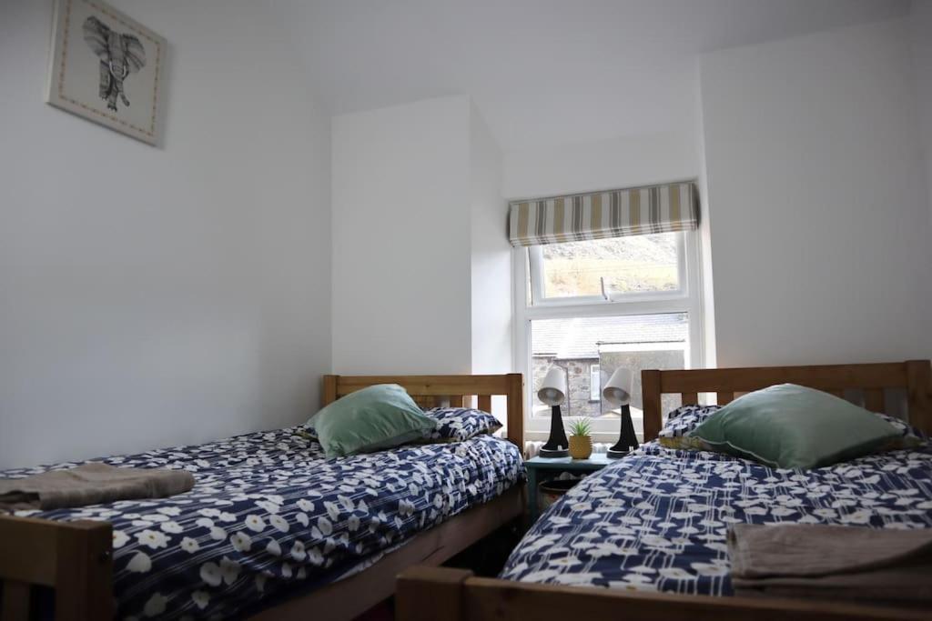 Dol Bach - Your Homely Welsh Cottage In The Heart Of Snowdonia Blaenau Ffestiniog Exteriér fotografie