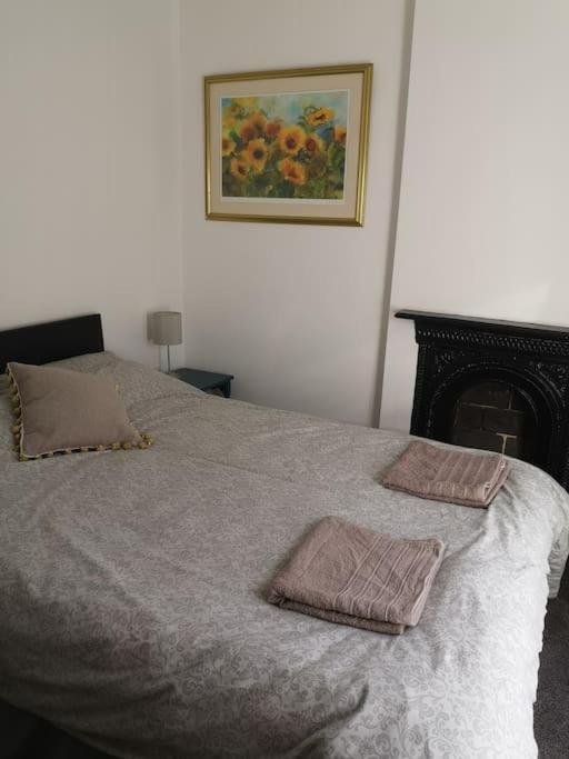 Dol Bach - Your Homely Welsh Cottage In The Heart Of Snowdonia Blaenau Ffestiniog Exteriér fotografie